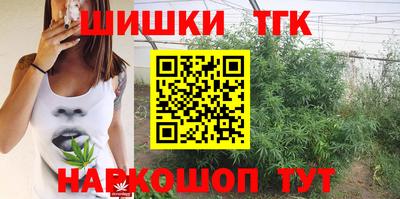 мдпв Жуковский