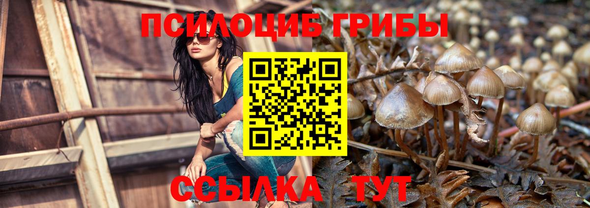 Псилоцибиновые грибы Psilocybine cubensis  Вход с VPN  Менделеевск 